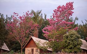 Pousada Corujas